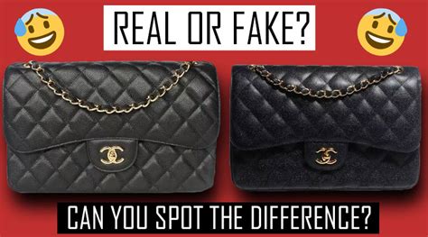 myhabit sells fake bags|true stories of counterfeit bags.